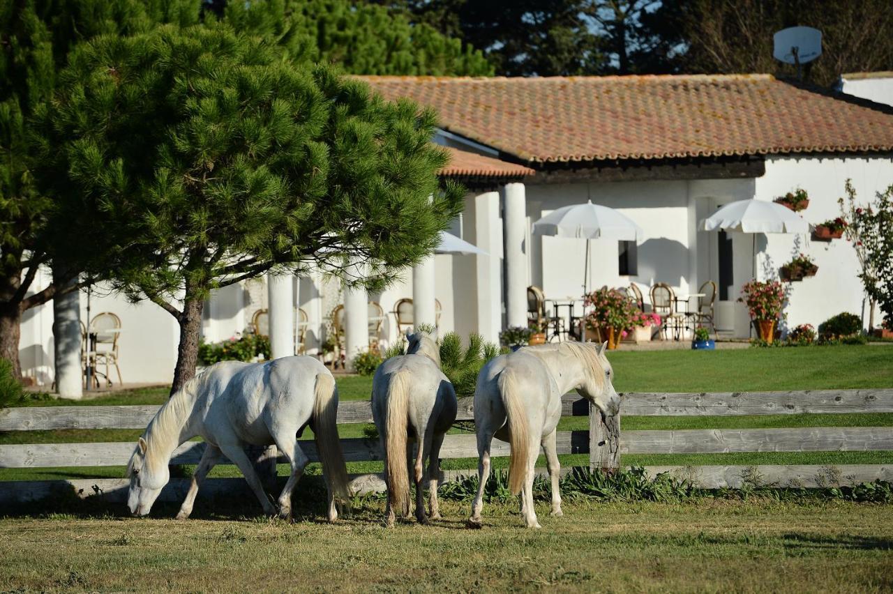 Mas De La Grenouillere Hotel Et Centre Equestre En Pleine Nature Saintes-Maries-de-la-Mer Bagian luar foto